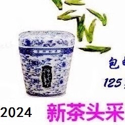 预售新茶老茶树2024年群体种新茶头采明前龙井茶茶农直销125克