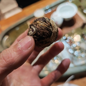 那卡古树茶花龙珠1颗