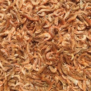 鲜虾皮可以做花肥吗 虾皮过期可以做花肥吗