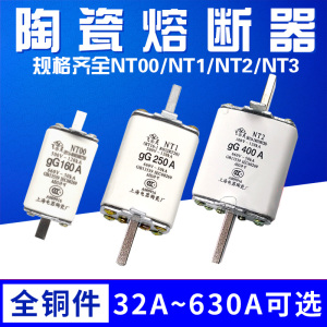 RT16/NT00/NT1/NT2 63A100A160A250A400A600A陶瓷保险丝熔断器芯