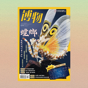 【202309】螳螂 博物杂志2023年9月刊 中国国家地理旗舰店