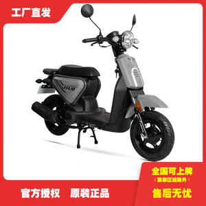 王野吉鹿50CC电喷踏板摩托车WY50QT-11E铃鹿同款燃油助力外卖车