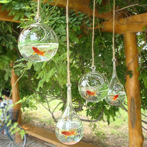 吊挂加厚透明玻璃小型金鱼缸生态迷你时尚创意圆形水培植物摆件