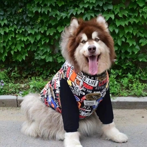 大狗宠物卡通卫衣阿拉斯加金毛哈士奇古牧拉布拉多中大型犬衣服