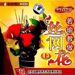 中华百艺坊 若瑜教做丝网花（上2VCD）视频 装点家居美化生活