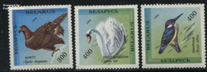 BEA-9401 白俄罗斯 1994年动物：鸟类邮票 SC#77a