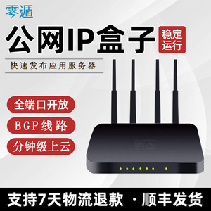 零遁独享带宽非共享固定公网IP盒子超稳定全端口电信联通移动专线