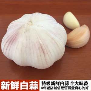 广东茂名高州特产土特产食品调味新鲜蔬菜紫白皮蒜头白蒜2斤包邮
