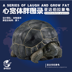 爆款！动物星球 心宽体胖系列 亚达伯拉象龟 手办 模型