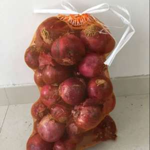 网袋子纱网装葡萄套袋专用红薯土豆洋葱苹果小网眼防虫网兜网纱袋