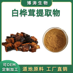 白桦茸多糖30%50%70%白桦茸提取物  桦褐孔菌