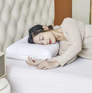 全季汉庭丽枫五星级酒店荞麦羽丝双面枕头护颈椎助睡眠专用枕芯