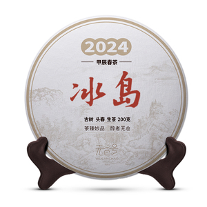 无仓号2024冰岛（南迫）春茶预售古树春茶云南普洱茶生茶普洱茶饼