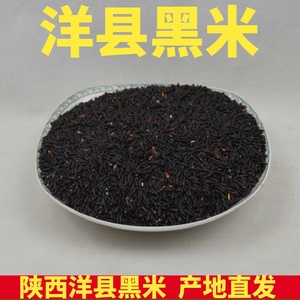 陕西汉中洋县黑米 500g五谷杂粮煲粥新黑大米天然粗粮黑糯米