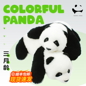 【现货】七彩虹大熊猫和花三月龄手工原创仿真毛绒玩偶送儿童礼物
