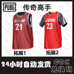 PUBG绝地求生Steam皮肤CDK传奇篮球高手213号球上衣服体恤兑换码