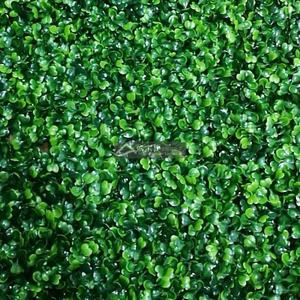 热卖商场室内彩色绿植物墙装饰加密米兰草塑料假仿真草皮人造草坪