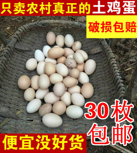 山东农村真正散养的新鲜土鸡蛋 吃粮食菜叶虫子正宗笨鸡蛋柴鸡蛋