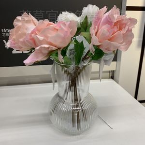 保证国内上海宜家商场正品代购普德拉格花瓶透明玻璃17厘米花盆