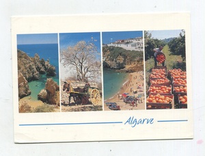 1996年 葡萄牙 实寄 老明信片 algarve 海崖 花树 果实 图画邮票