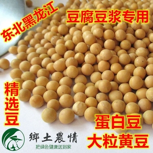 2023年新黄豆东北黑龙江非转基因蛋白大豆优质精选大粒做豆腐豆浆