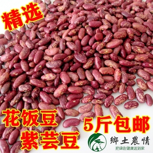 2023新豆东北黑龙江紫花饭豆大粒软面红花芸豆煮大碴粥做豆馅豆