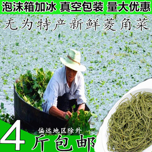安徽无为特产野生菱角菜新鲜采摘水生植物蔬菜食品500g满4件包邮