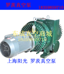 上海阳光罗茨泵 罗茨式真空泵ZJY-300 阳光真空泵ZJY-150真空泵