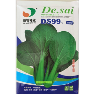 德赛夏之丰DS99青梗菜青菜种籽高产耐热夏季抗病上海青油菜种子