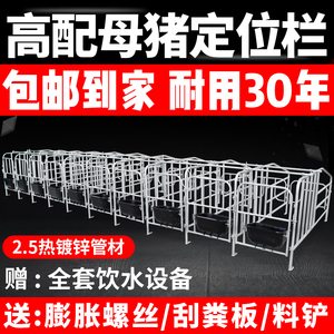 母猪定位栏热镀2.5复合板限位栏5位10位养猪养殖设备猪产床保育床