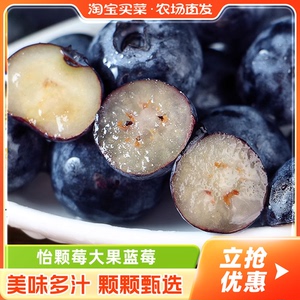 怡颗莓Driscolls'蓝莓非黑莓当季新鲜水果时令浆果淘客