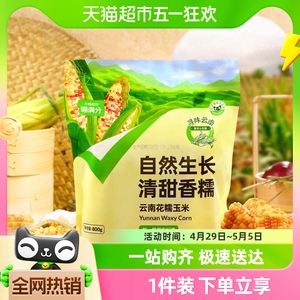 喵满分爆卖30万件云南普洱玉米花糯白糯800g新鲜现摘巴掌玉米