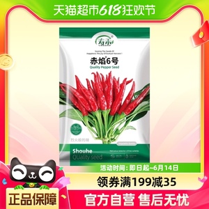 寿禾赤焰6号簇生朝天椒种子100粒种籽孑蔬菜菜种菜籽高产辣椒