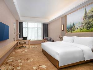 维也纳国际酒店（江西赣州石城琴江公园店）高级大床房