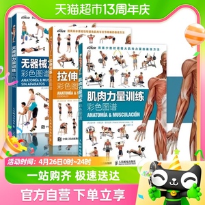 肌肉力量训练彩色图谱拉伸训练无器械力量训练运动健身书籍3册