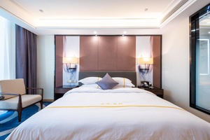 君莱国际酒店（滁州来安苏润国际广场店）高级大床房