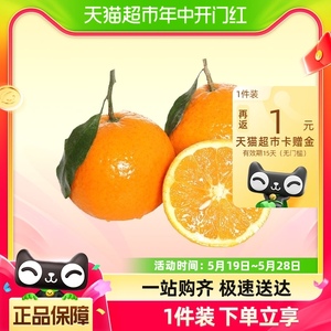 四川青见柑橘子新鲜应季水果当季桔子手剥果冻橙香甜多汁现摘整箱