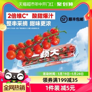 一颗大串番茄樱桃小西红柿198g*4盒新鲜采摘酸甜