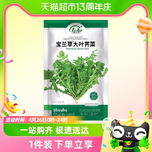 寿禾宝兰草大叶荠菜种子蔬菜种籽50g孑菜种菜籽四季青菜荠荠菜