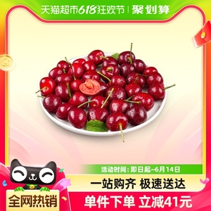 【预售】山东烟台樱桃4.5斤酸甜樱桃国产车厘子新鲜水果包邮