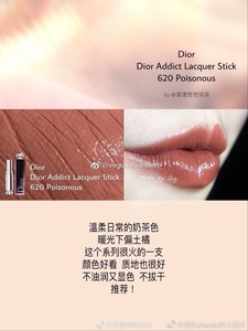 Dior 迪奥口红 620 740 奶茶色