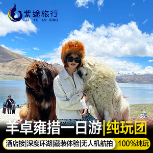 西藏羊卓雍措纯玩一日游 羊湖1日跟团游卡若拉冰川日托寺深度环湖