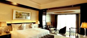 上海浦东星河湾酒店城堡园景大床房