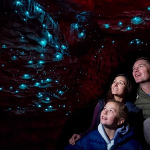 新西兰旅游 蒂阿瑙萤火虫洞 Te Anau Glowworm Cave