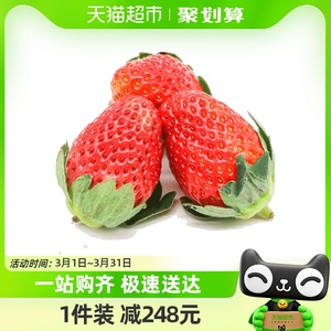 【88VIP专属】辽宁丹东红颜草莓1.8斤装新鲜水果时令整箱包邮
