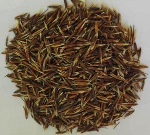 欢喜地 阿拉伯血钻野燕麦红麦正品 纯正真货食物补充200克