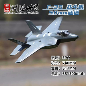 无风模型50mm涵道F35固定翼EDF航模电动遥控模型EPO战斗机飞机