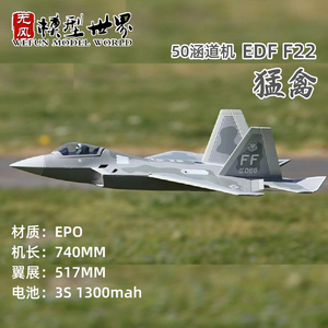 无风模型F22飞机50mm涵道固定翼EDF航模涵道遥控模型战斗机EPO