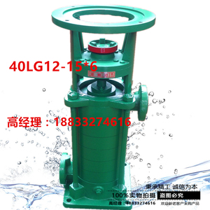 40LG12-15x6立式多级泵带电动机LG分段式高扬程增压清水离心泵头