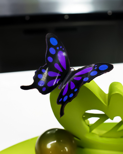 蝴蝶巧克力亮片膜模具镂空蛋糕造型插件装饰件转印围边励豆定制